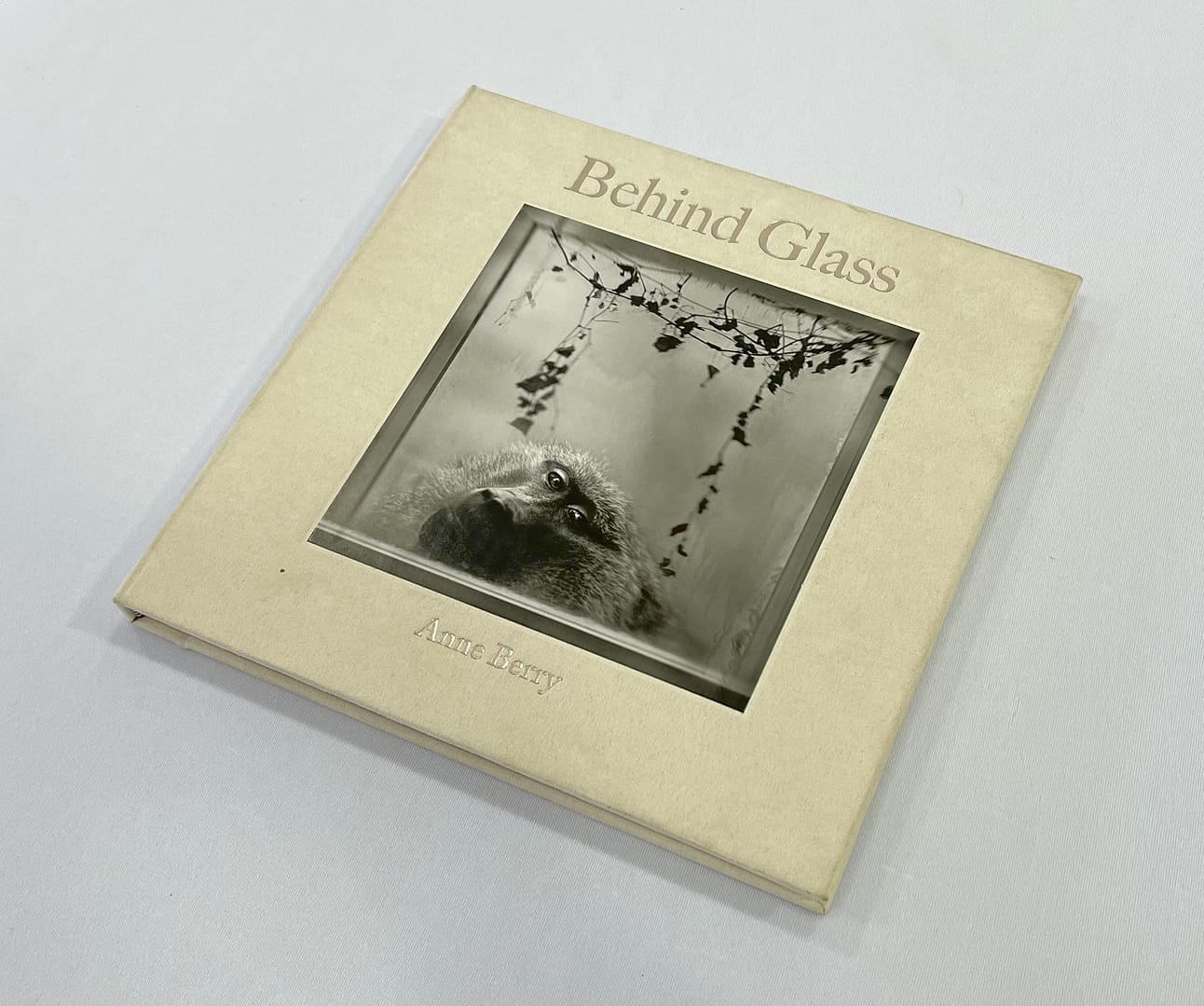 Behind Glass