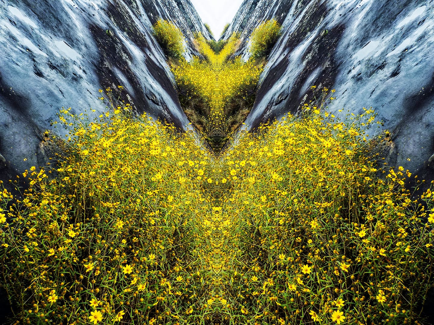 Corrine Adams Fine Art Photography
