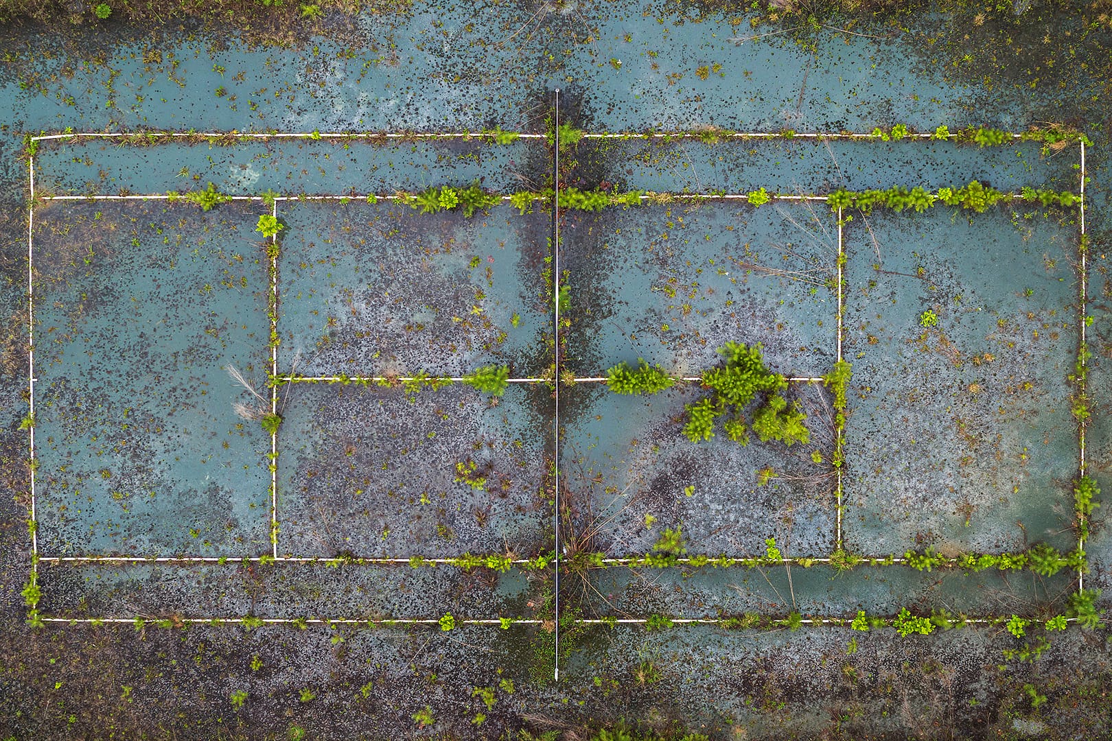 Call for Entry: Concepts 2023 - Abstraction: Envisioning a Different World