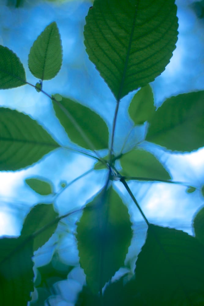 Speaking of Photography: Kathryn Kolb