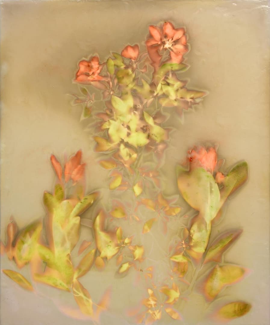 image0 2