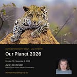 Call for Entry: Our Planet 2026: Nature, Landscape and Conservation
