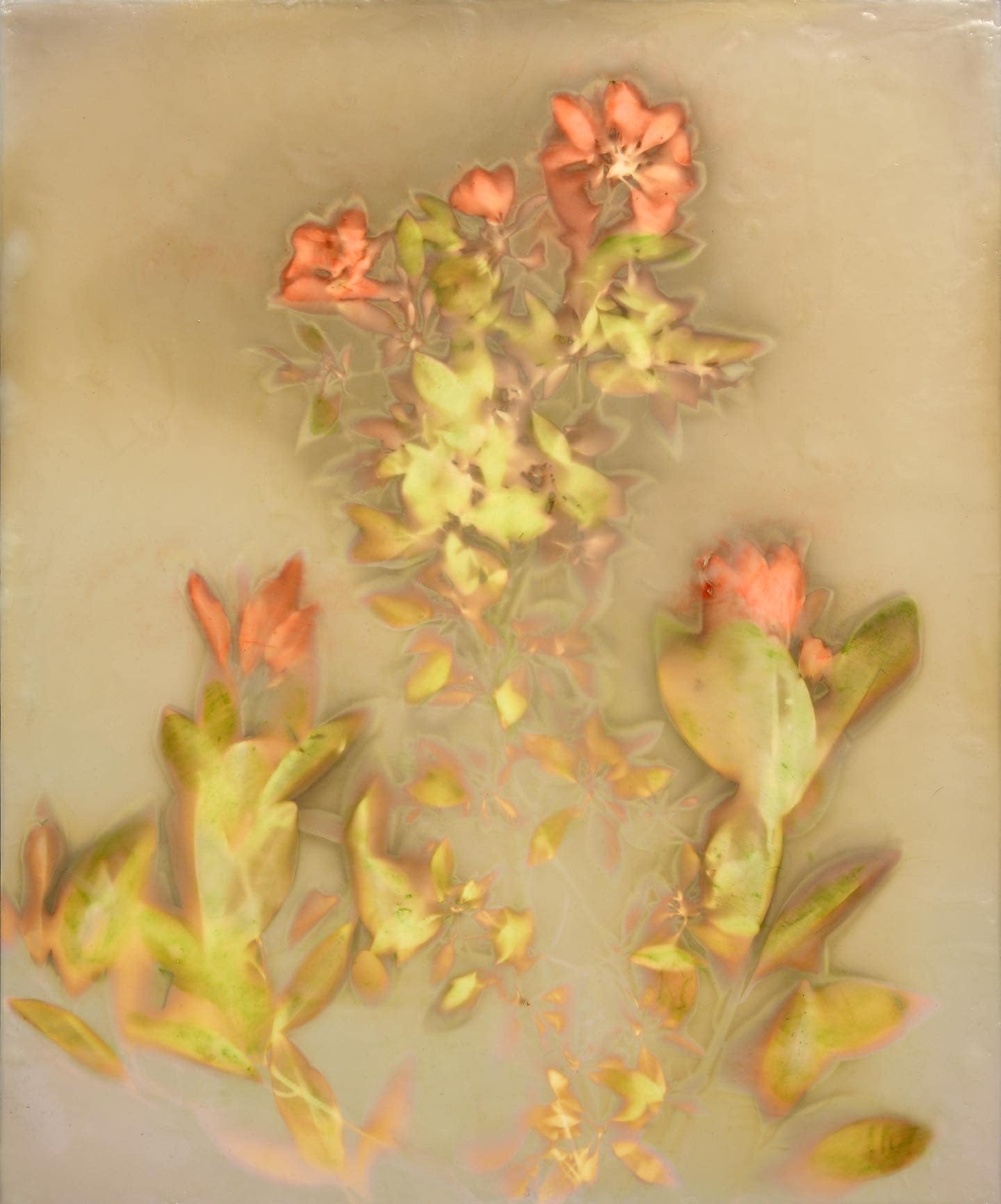 image0 2