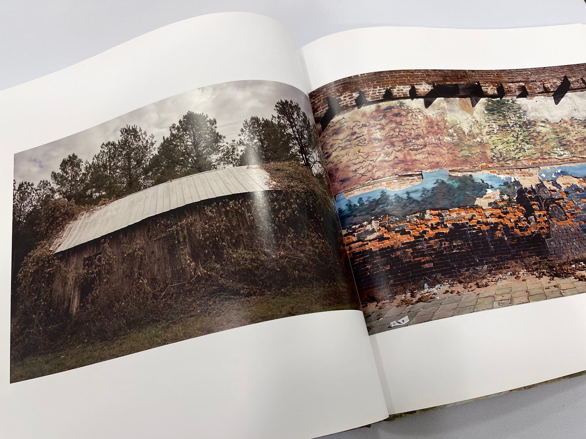 Late Harvest - Image 5