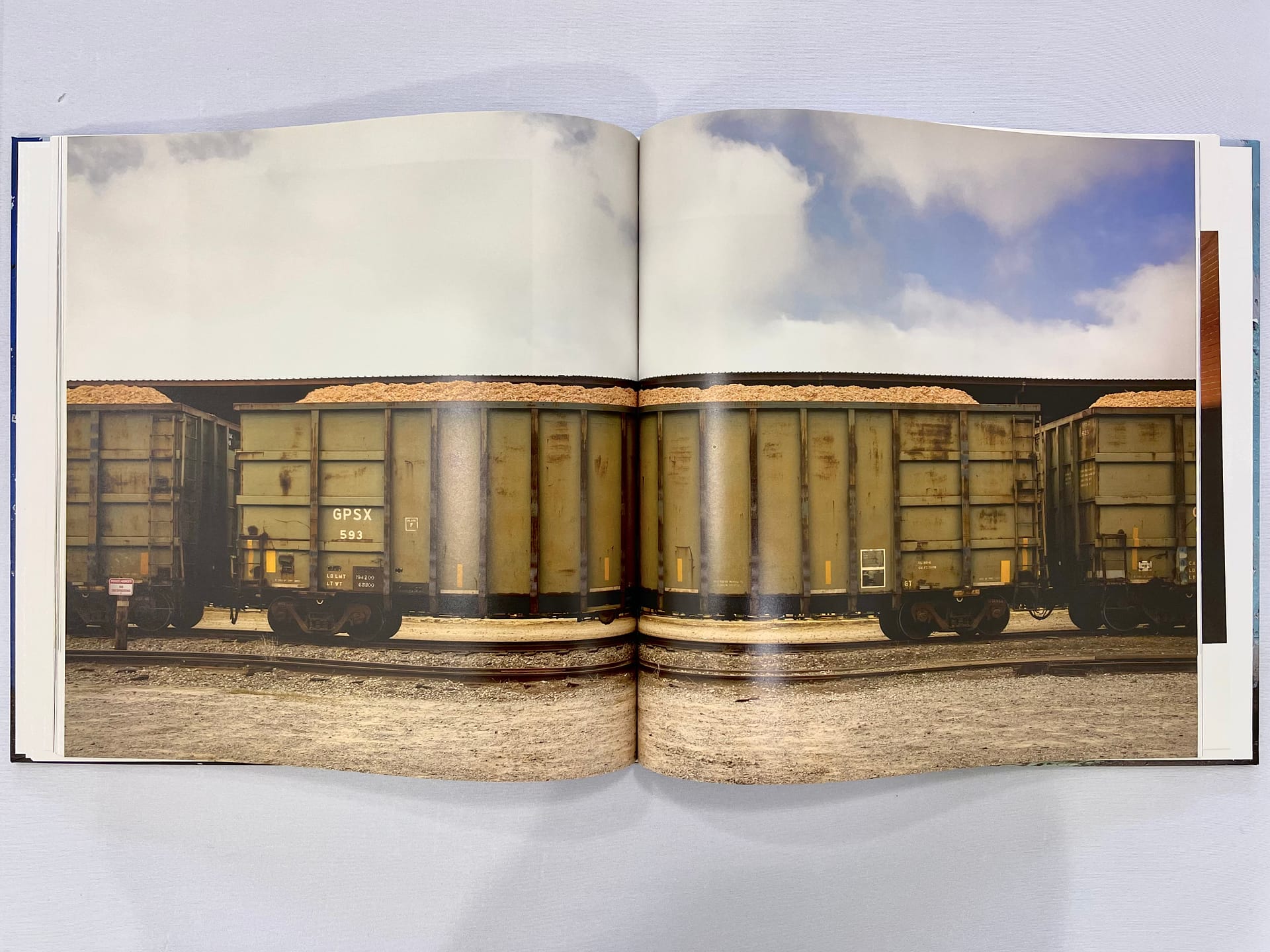 Late Harvest - Image 6
