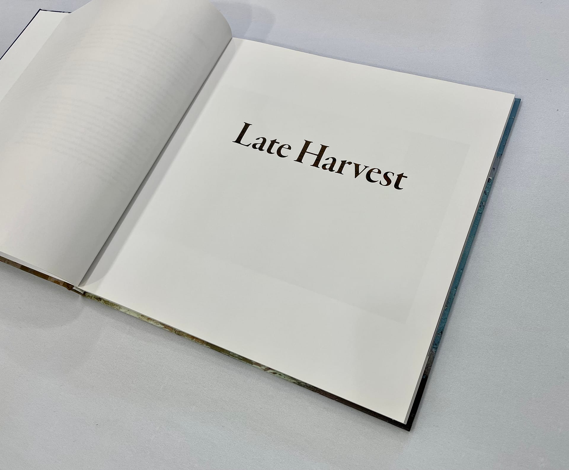 Late Harvest - Image 3