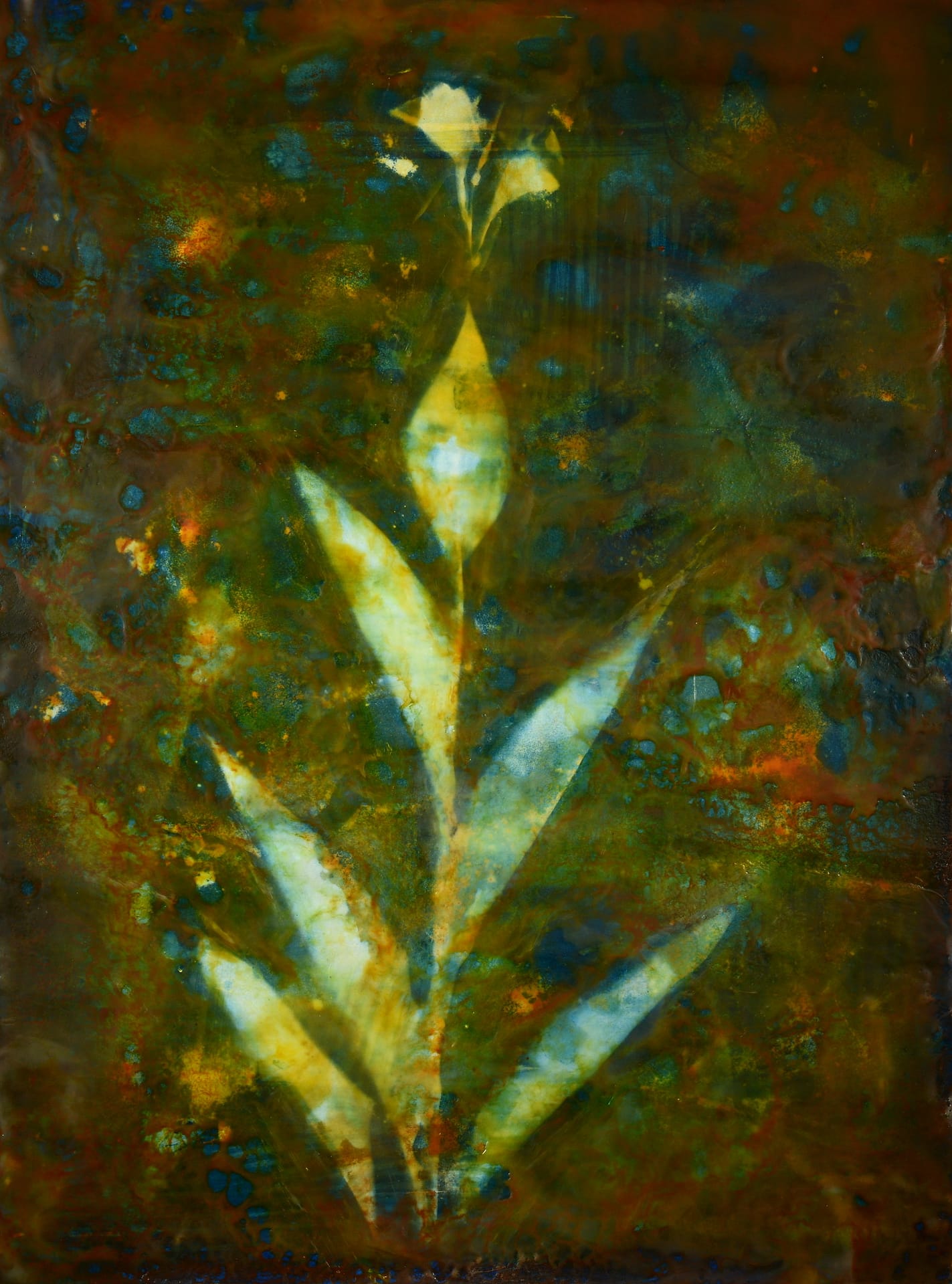 image2