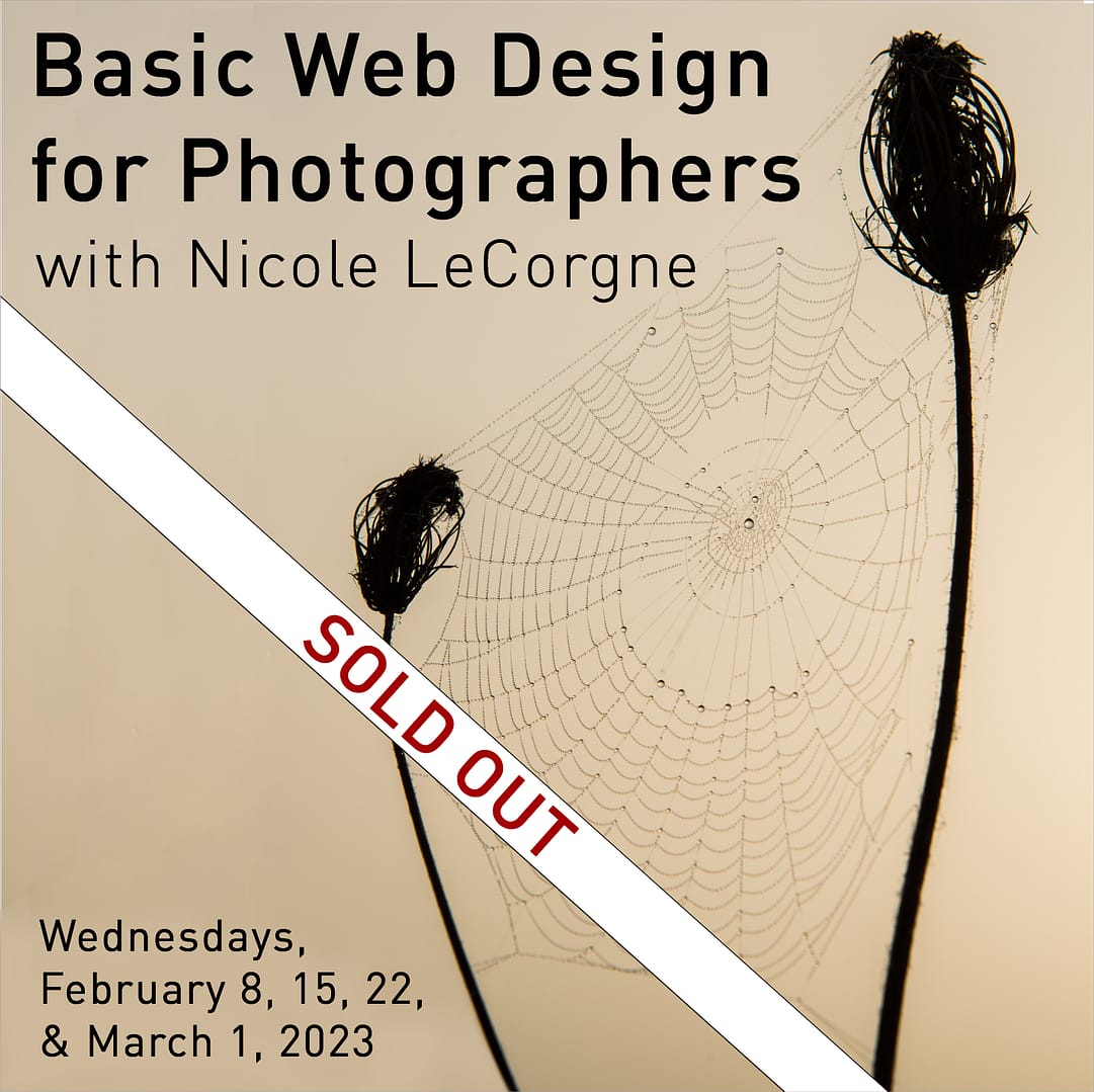 Workshop -  Basic Web Design for Photographers