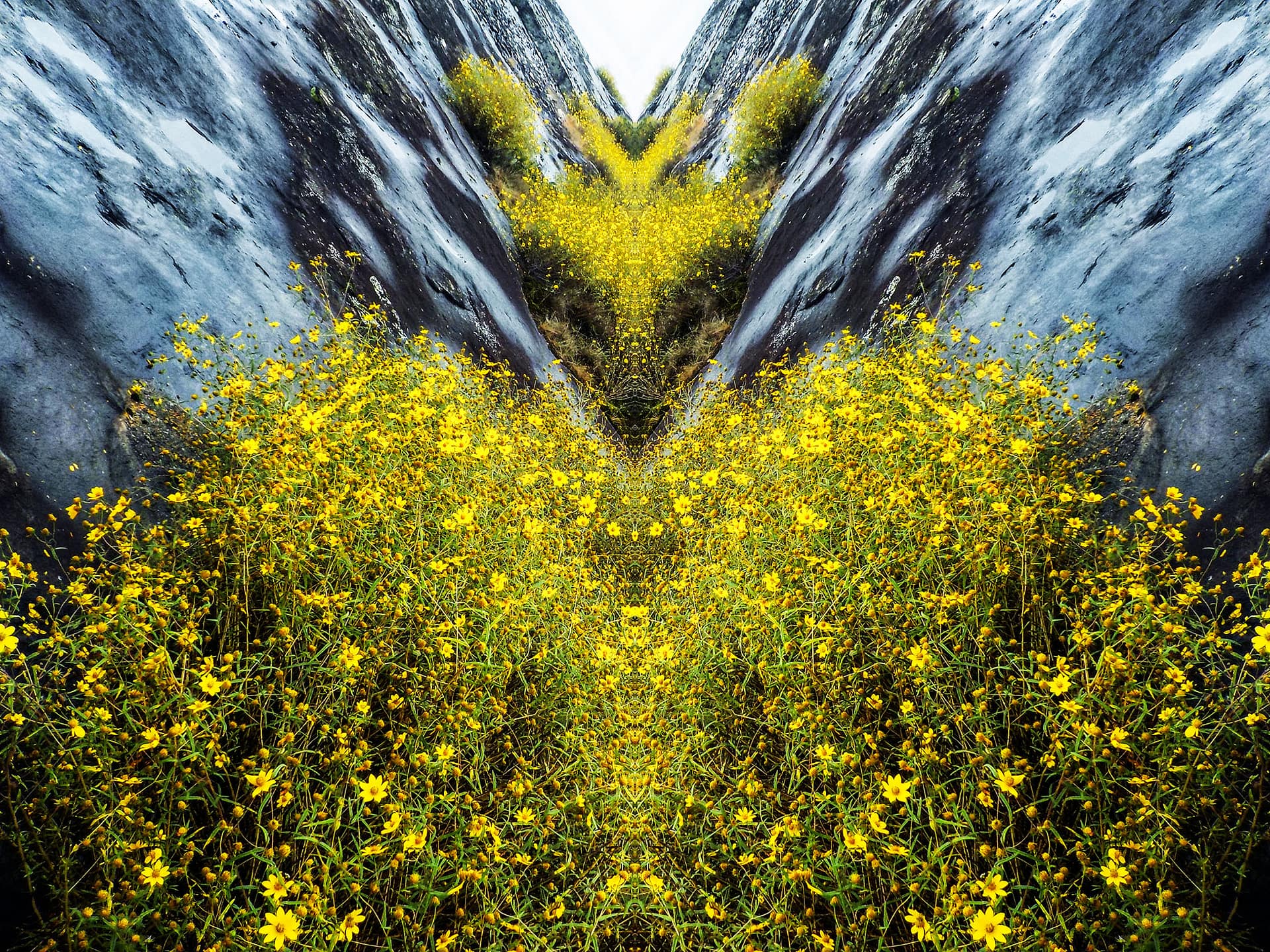 Corrine Adams Fine Art Photography