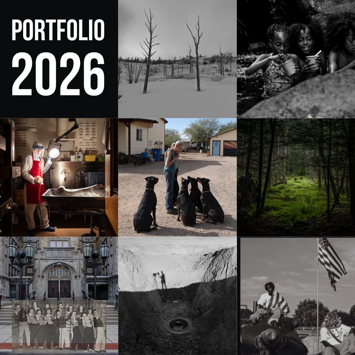 Exhibition: Portfolio 2026