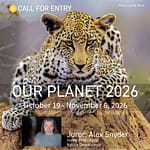 Call for Entry: Our Planet 2026: Nature, Landscape and Conservation