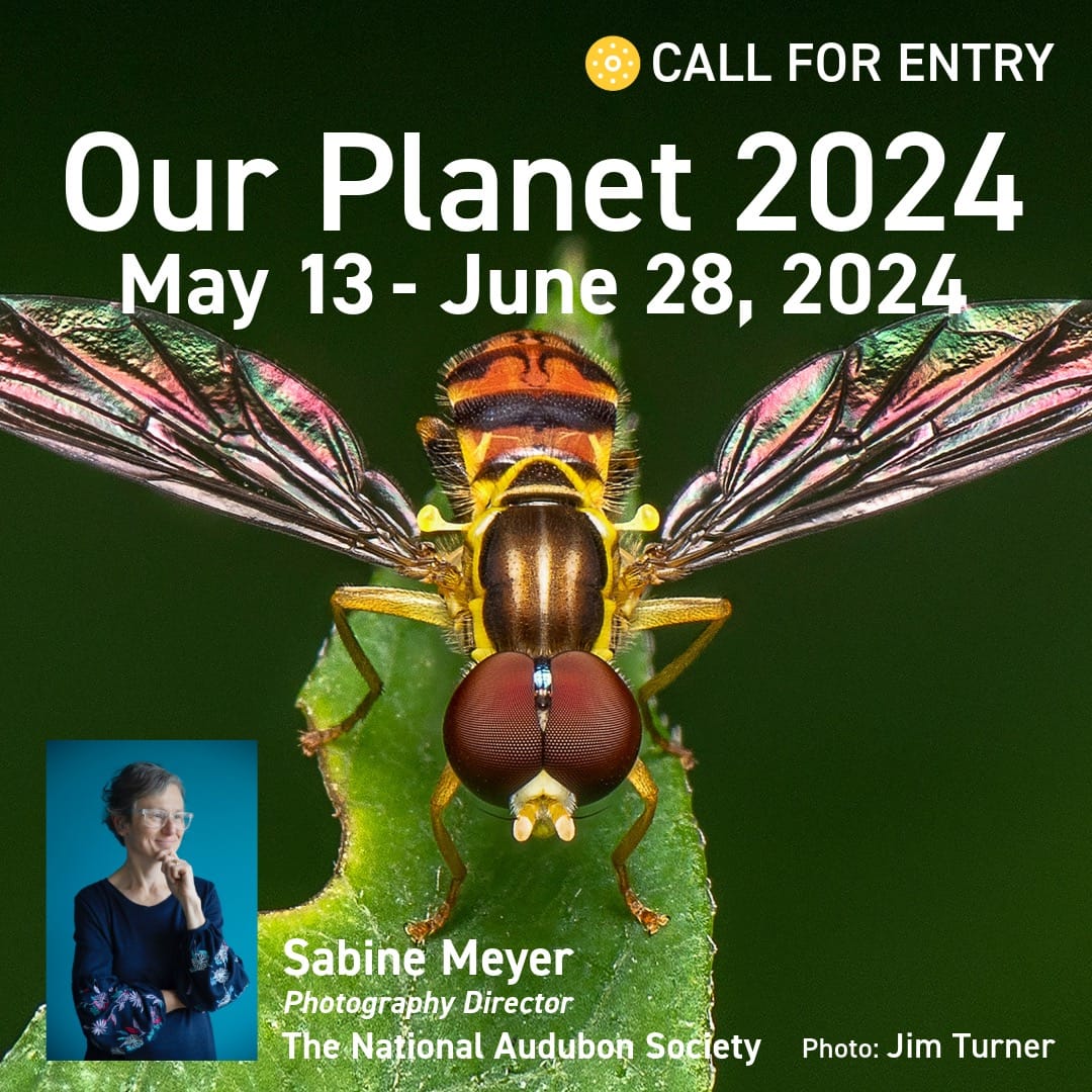 Call for Entry: Our Planet 2024: Nature, Landscape and Conservation
