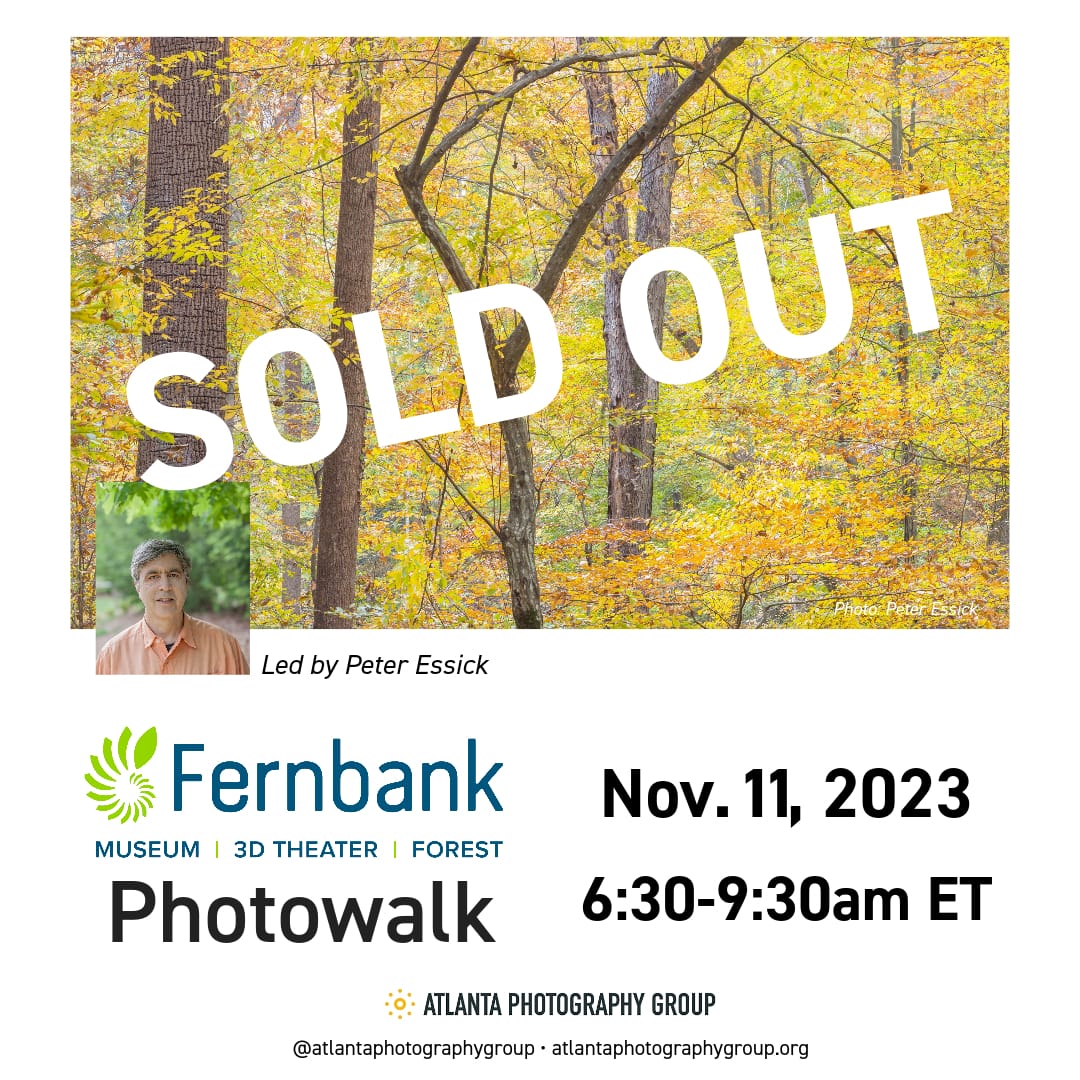 Photowalk: Fernbank Forest with Peter Essick