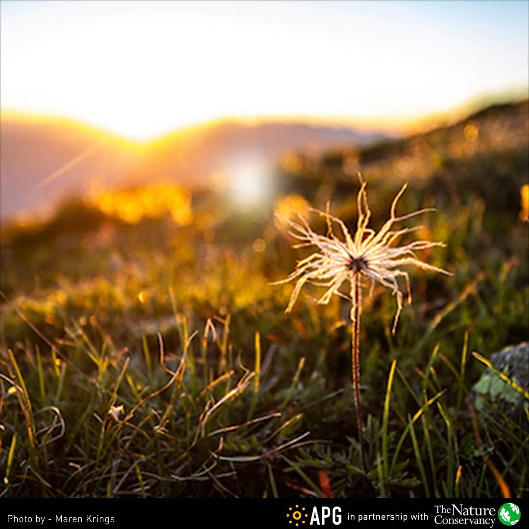 Call for Entry: Trailblazing: Landscape, Nature and Conservation