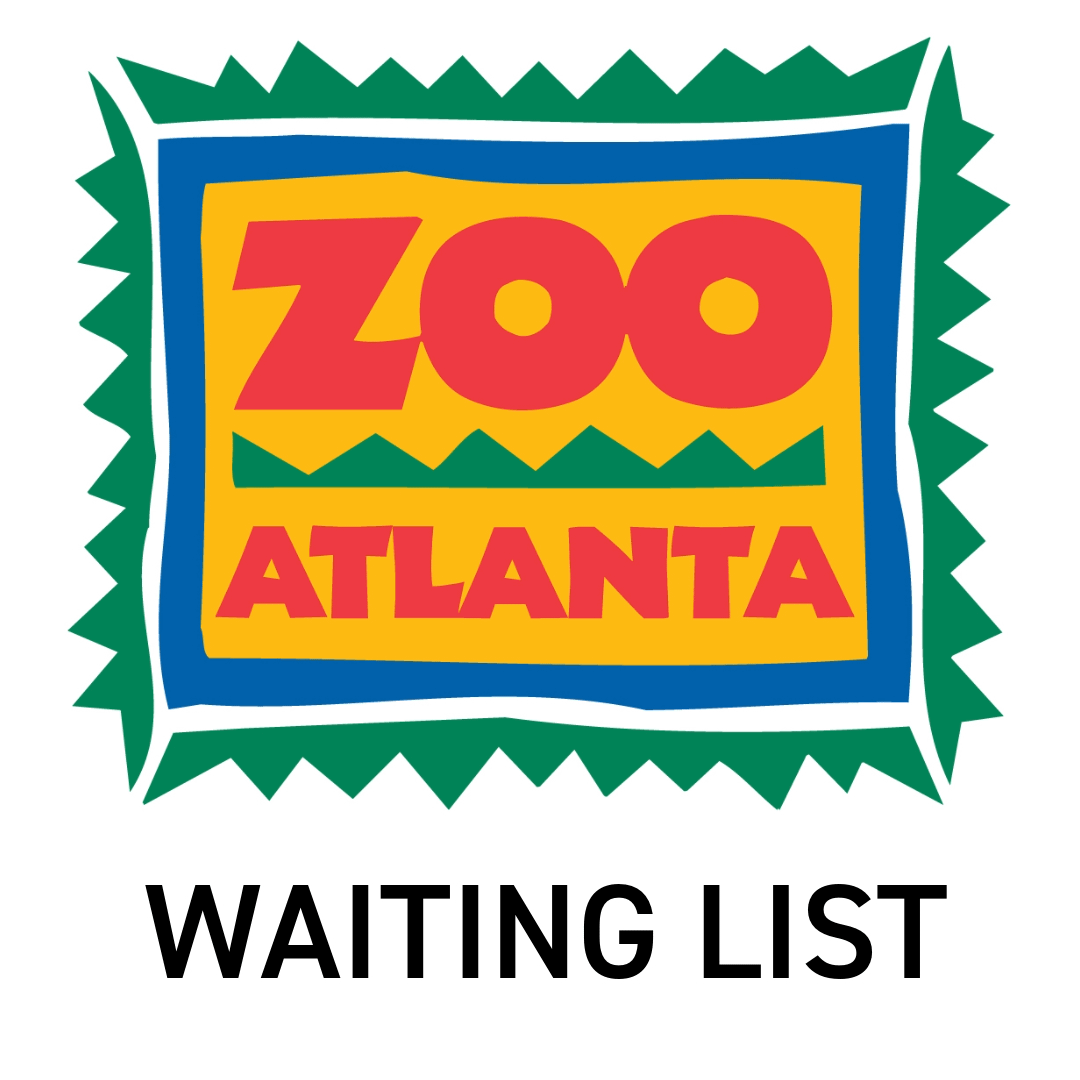 Photowalk: Zoo Atlanta with David Anglin