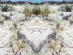 Exhibition: Francis Thompson SELECTS