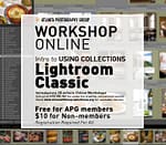 Workshop Online: Using Collections in Lightroom Classic