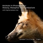 Workshop:  Animals in Photography: History, Metaphor, and Symbolism