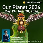 Call for Entry: Our Planet 2024: Nature, Landscape and Conservation