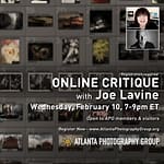 Critique: Joe Lavine [ONLINE]
