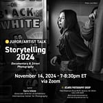 Juror/Artist Talk: Storytelling 2024