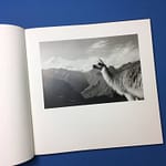 With Animals - Image 7