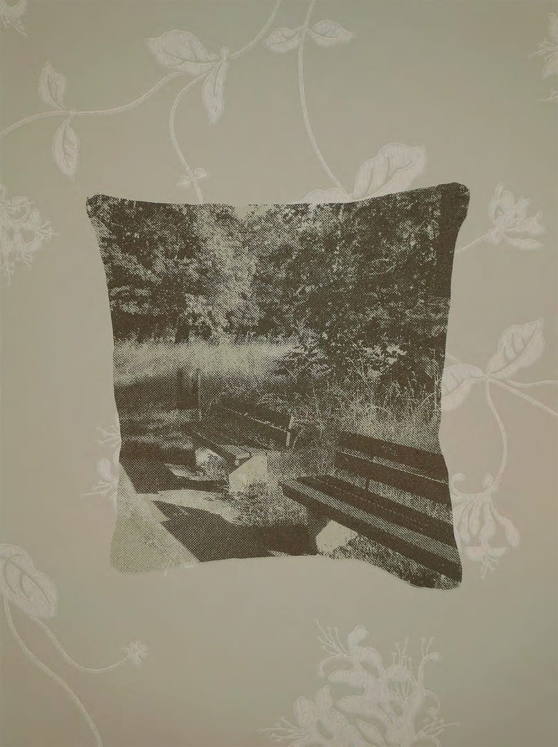 Cynthia Lollis and Daniela Deeg - Interior Landscapes / Innere Landschaften - #9 (Pillow)