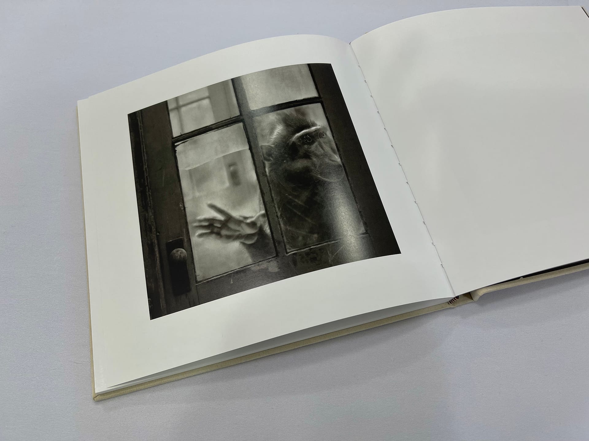 Behind Glass - Image 5