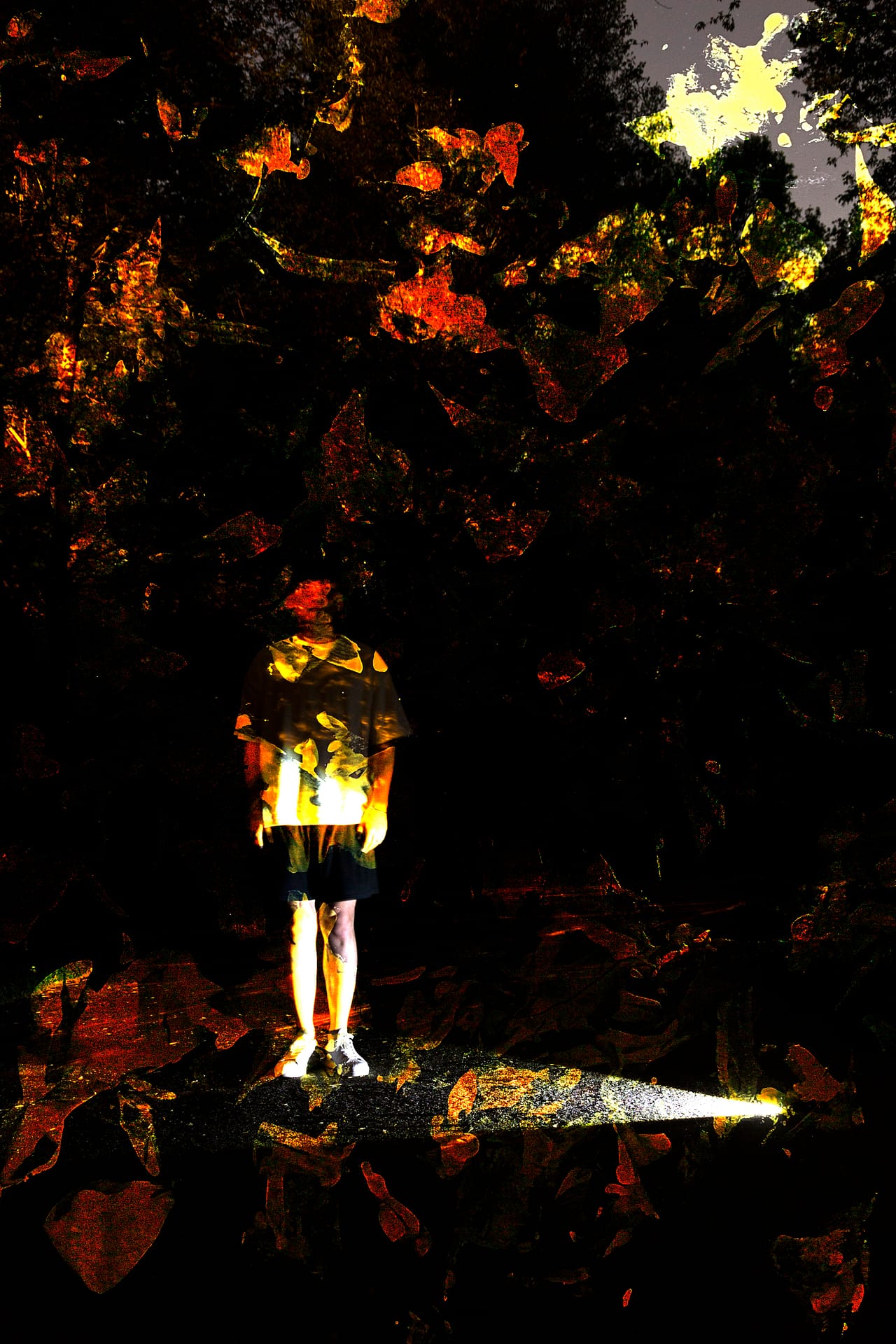 Yusheng Liu - Eidetic Imagery #6