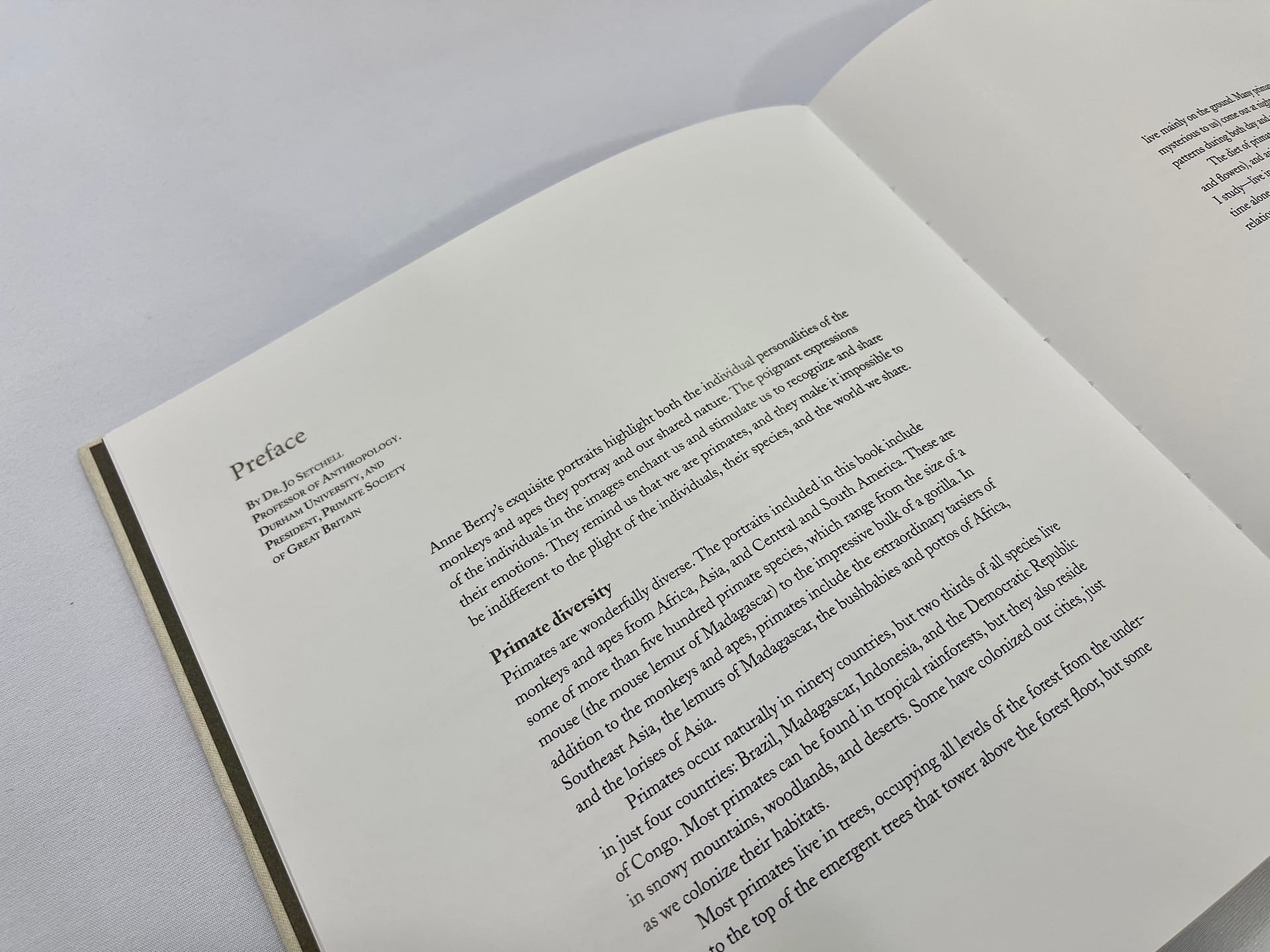 Behind Glass - Image 2