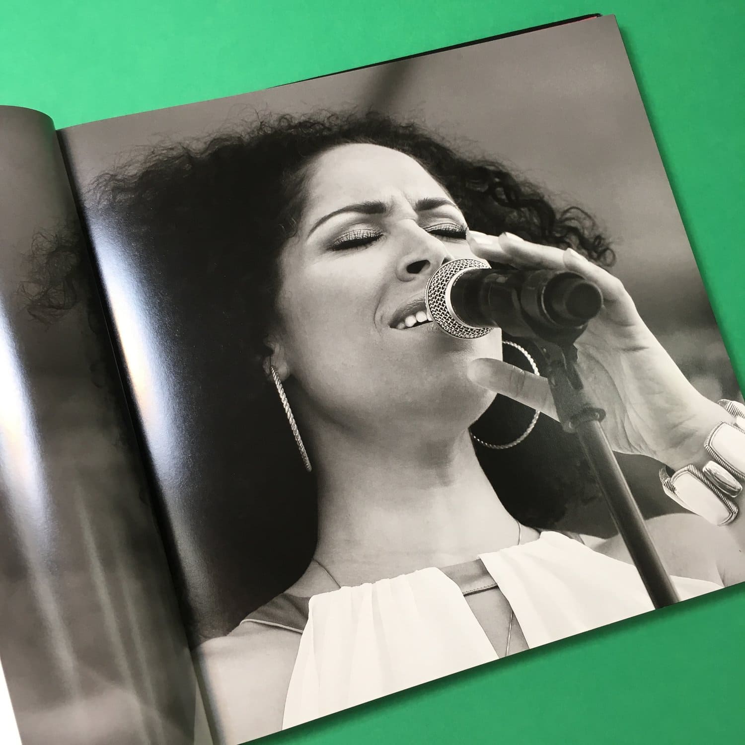 Atlanta Jazz Festival: Forty Years - Image 7