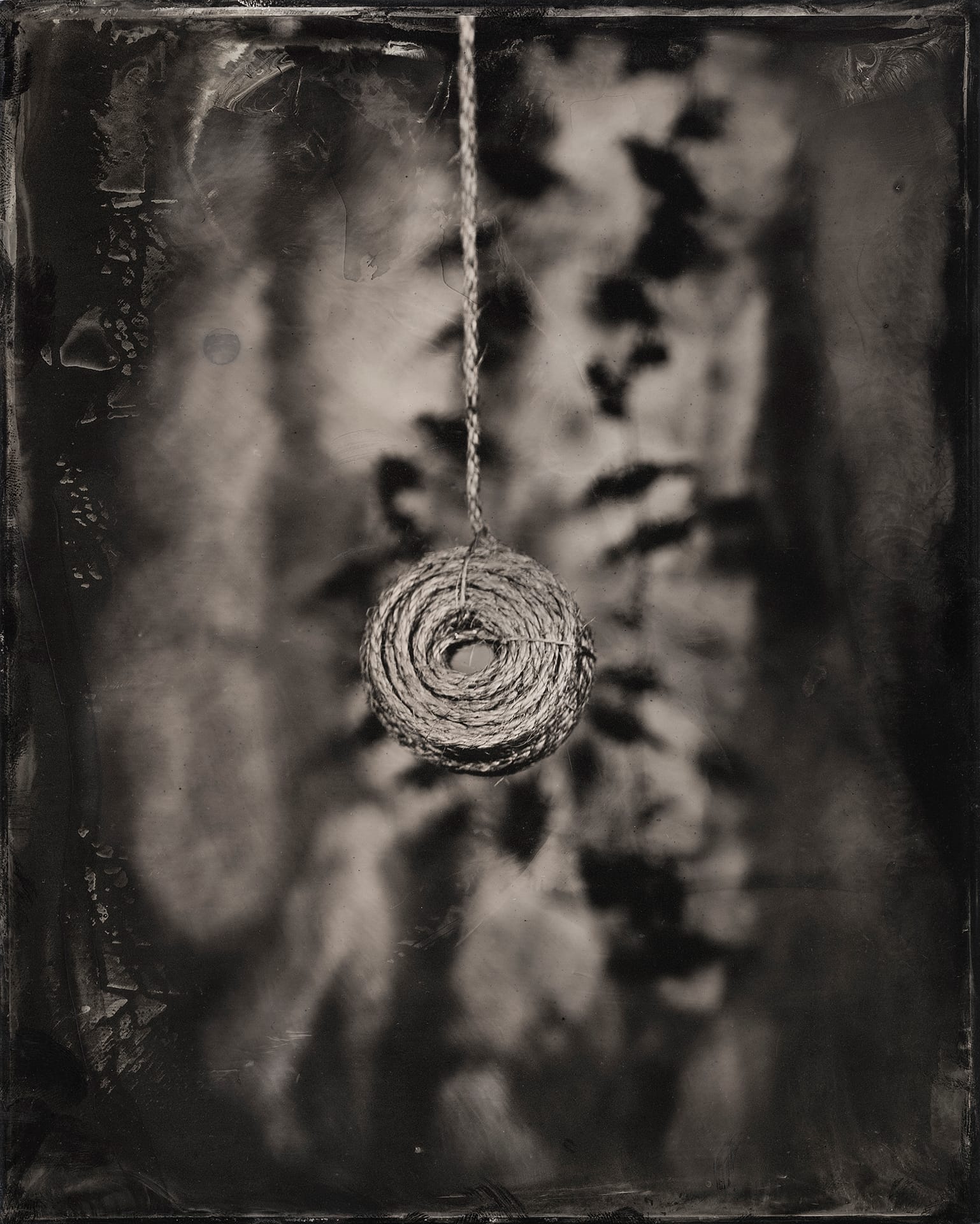 Nicole LeCorgne - Rope Coil