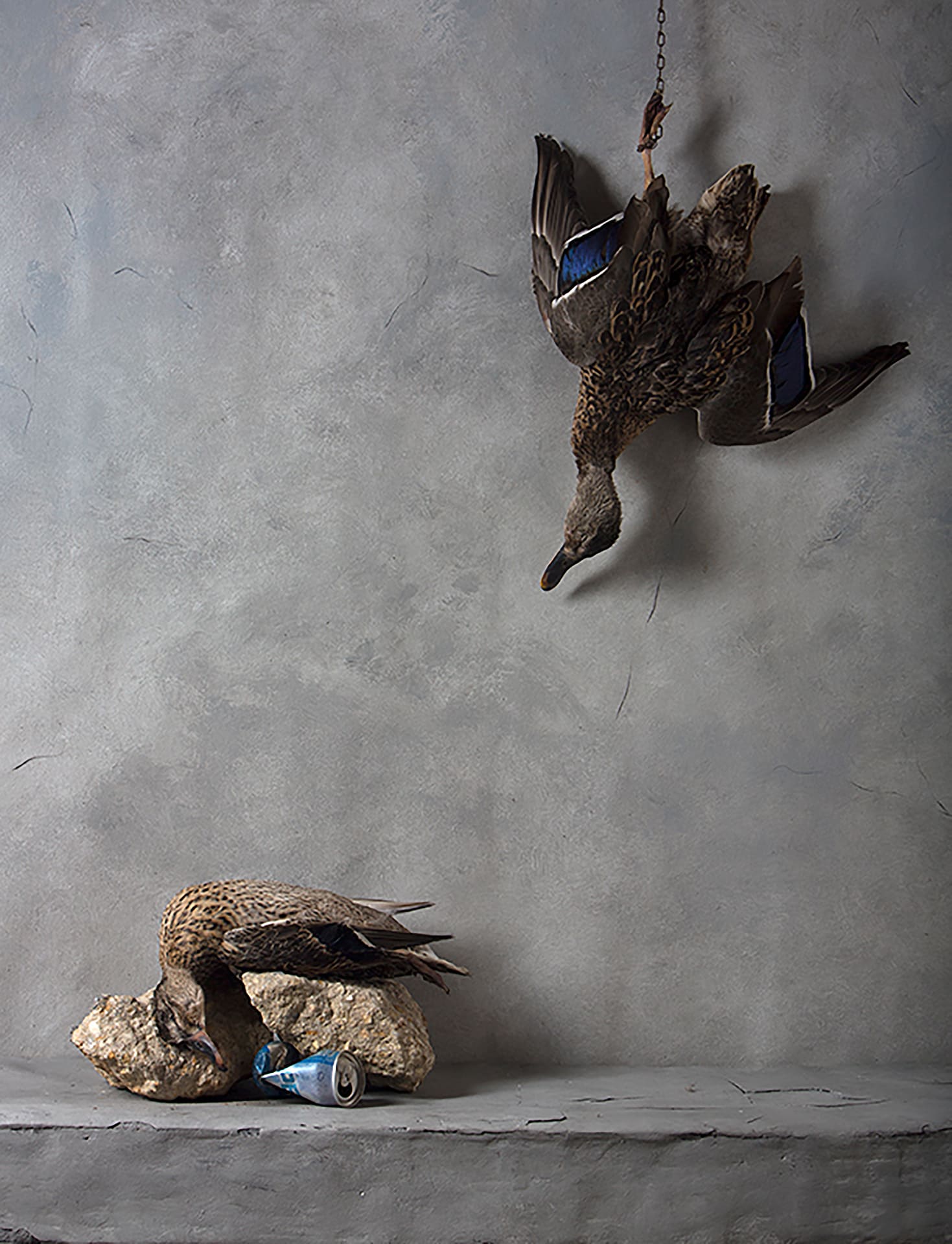 Nicole LeCorgne - Fallen