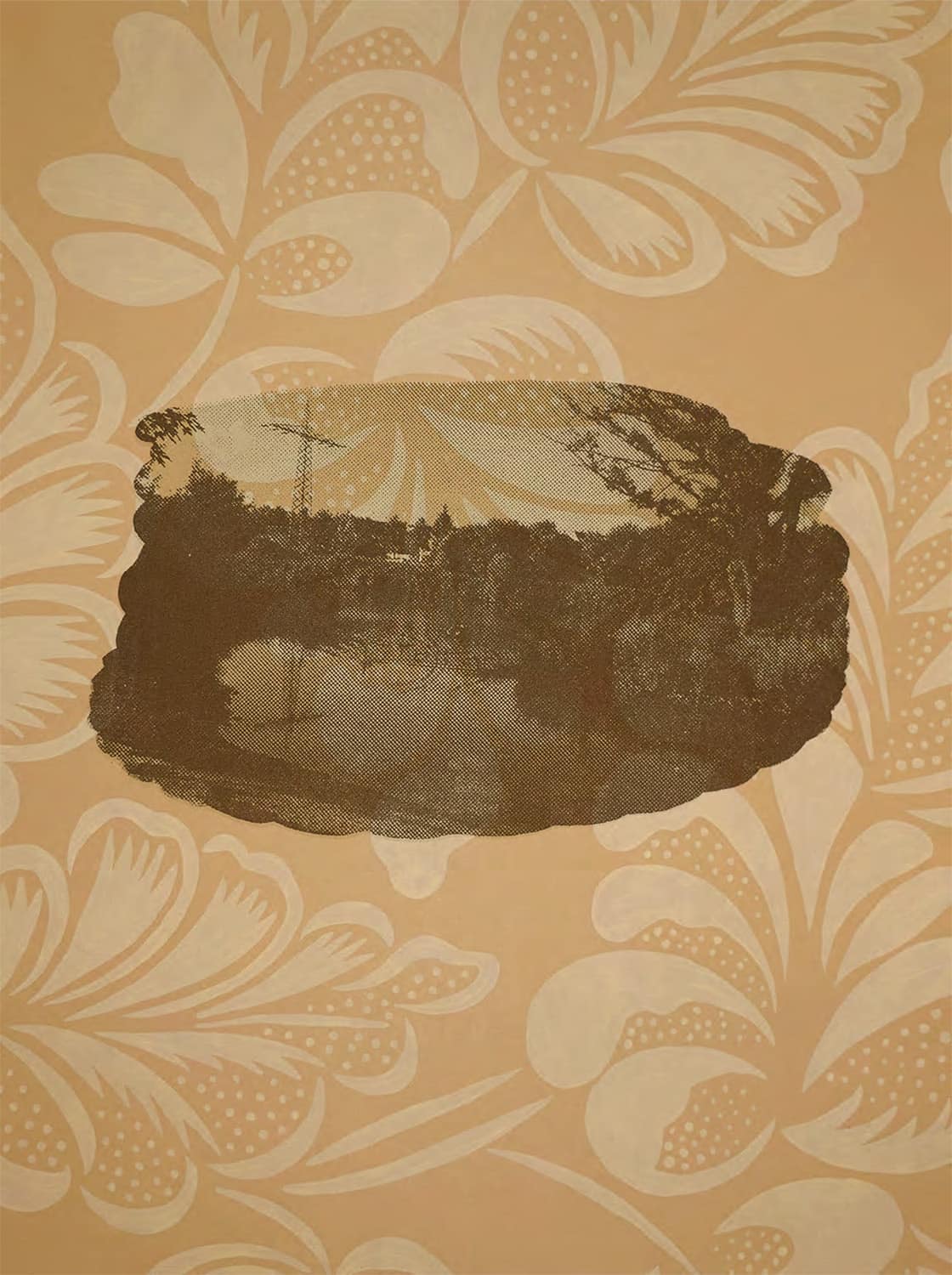 Cynthia Lollis and Daniela Deeg - Interior Landscapes / Innere Landschaften - #3 (Plates)