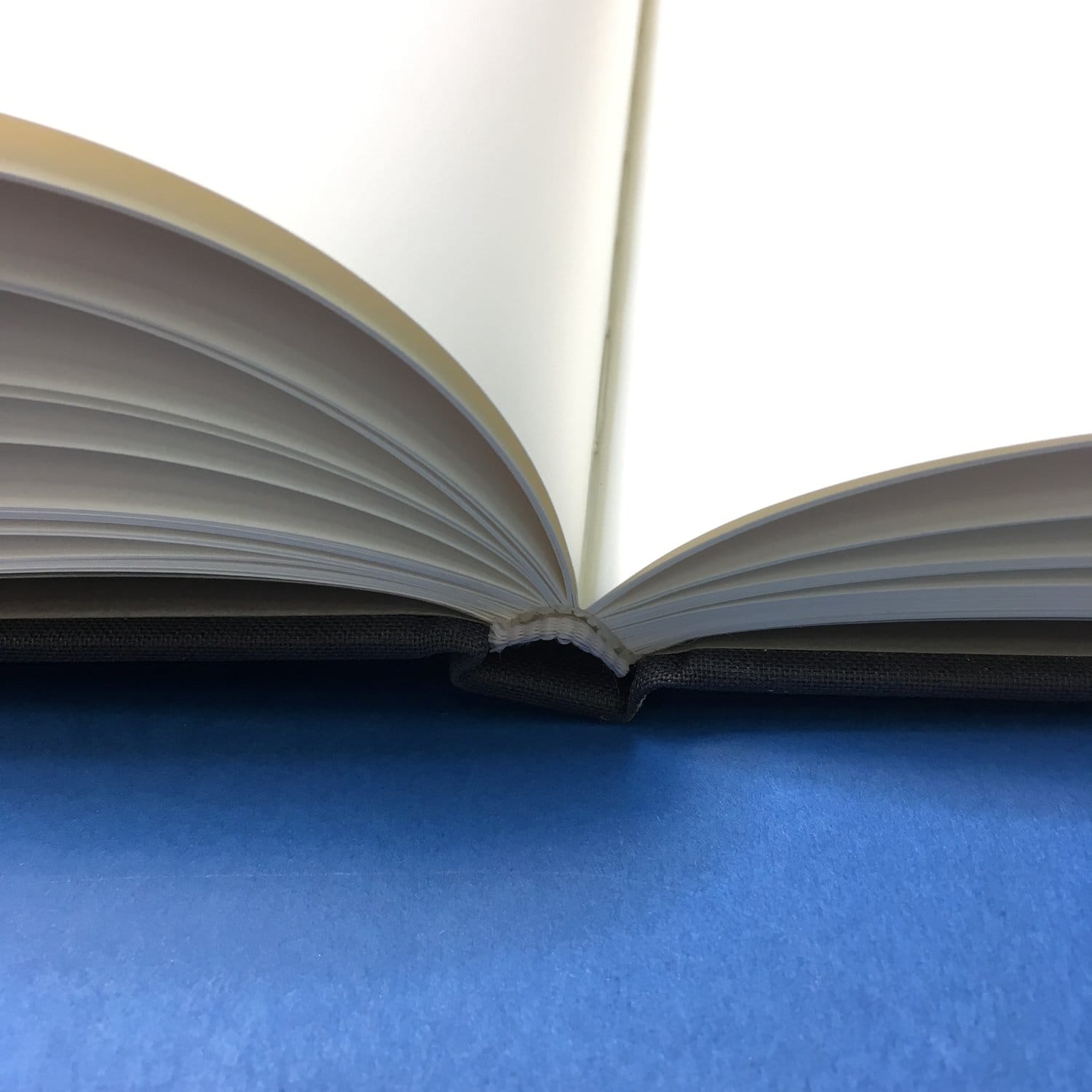 With Animals - Image 6