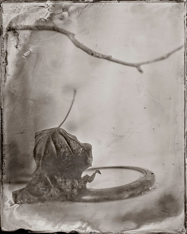 Nicole LeCorgne - Haiku