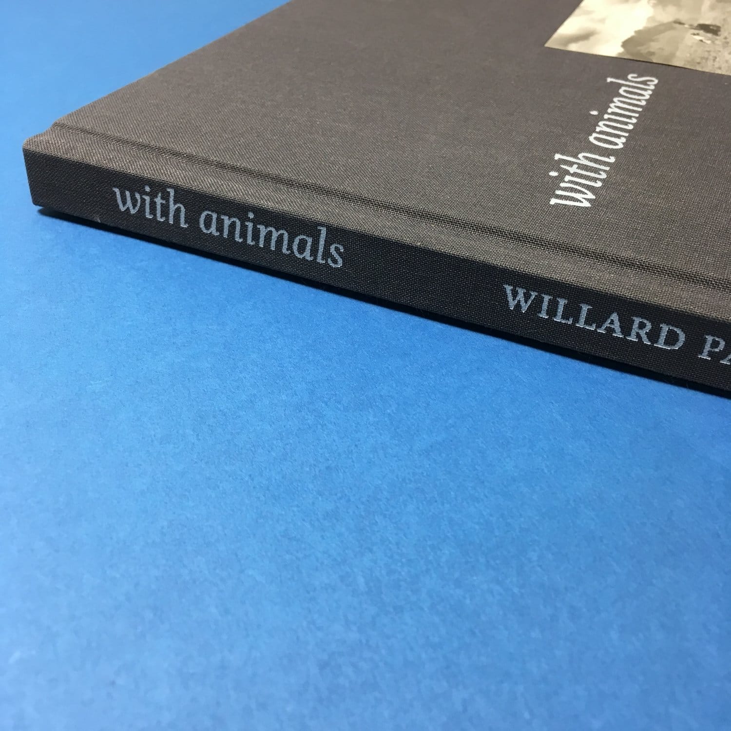 With Animals - Image 2