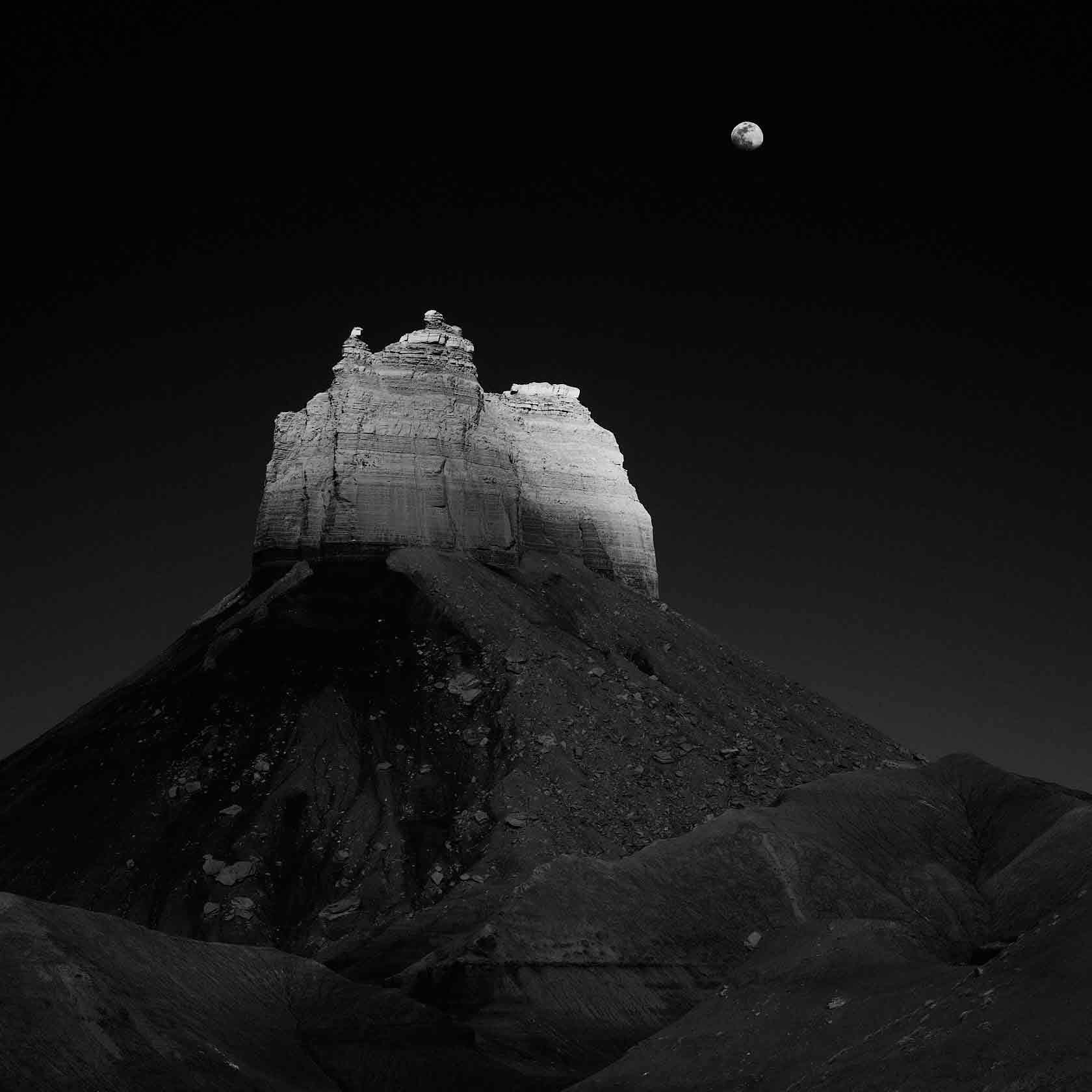 Exhibition: Our Planet: Nature, Landscape and Conservation