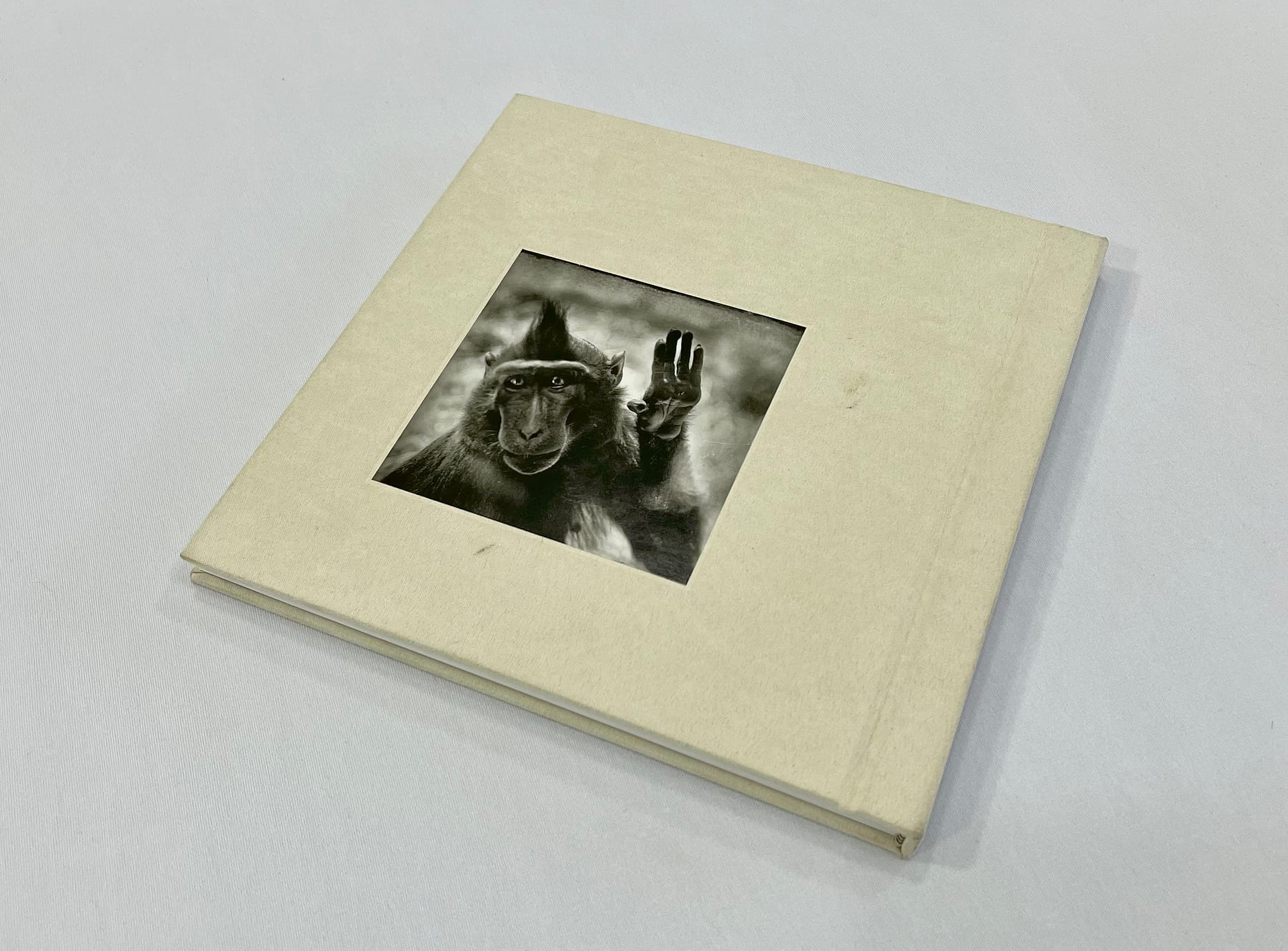 Behind Glass - Image 6