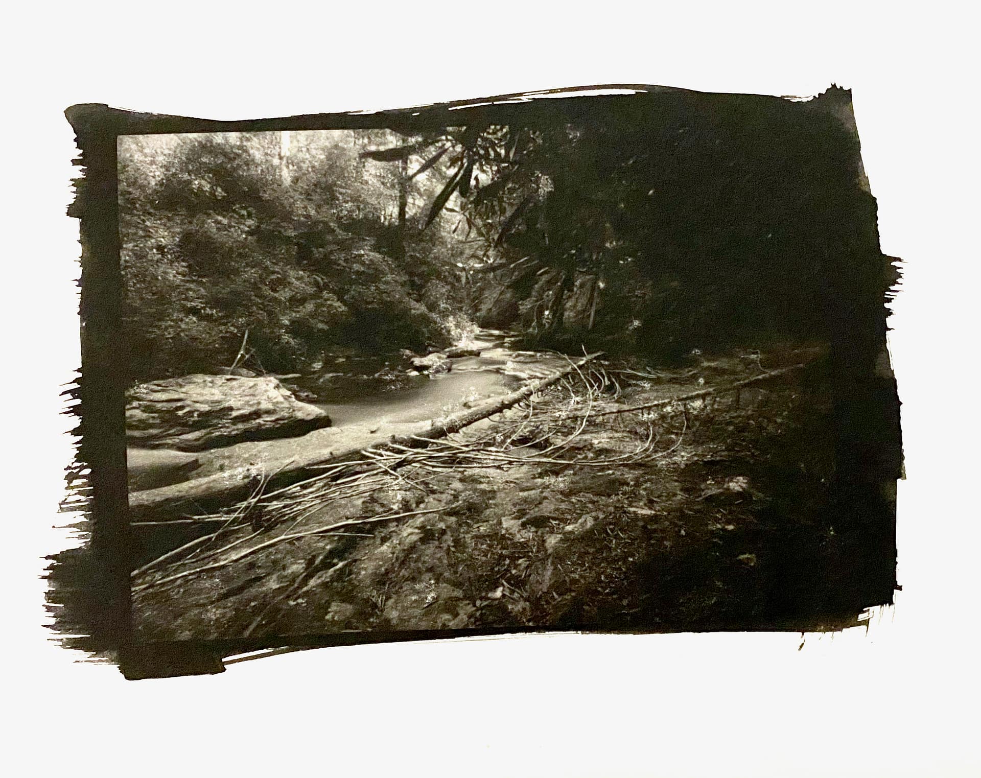 Reis Birdwhistle - Overflow