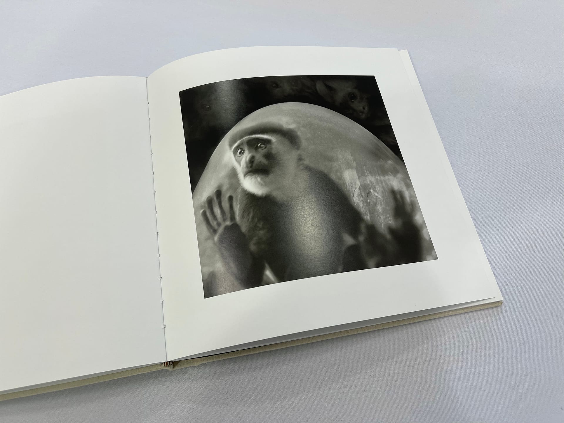 Behind Glass - Image 3