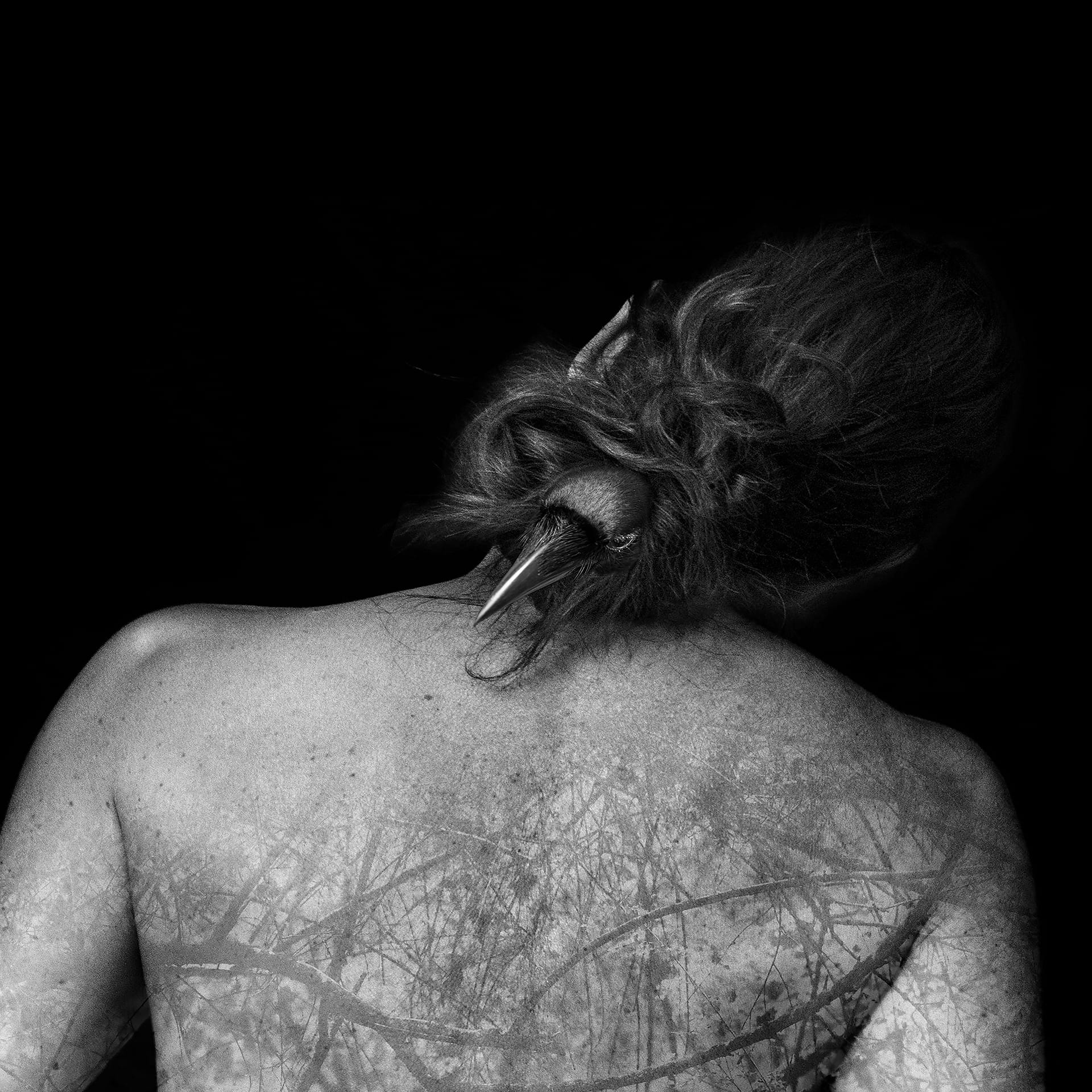 Call for Entry: Hybrid Exhibition – The Narrative Power of Black & White