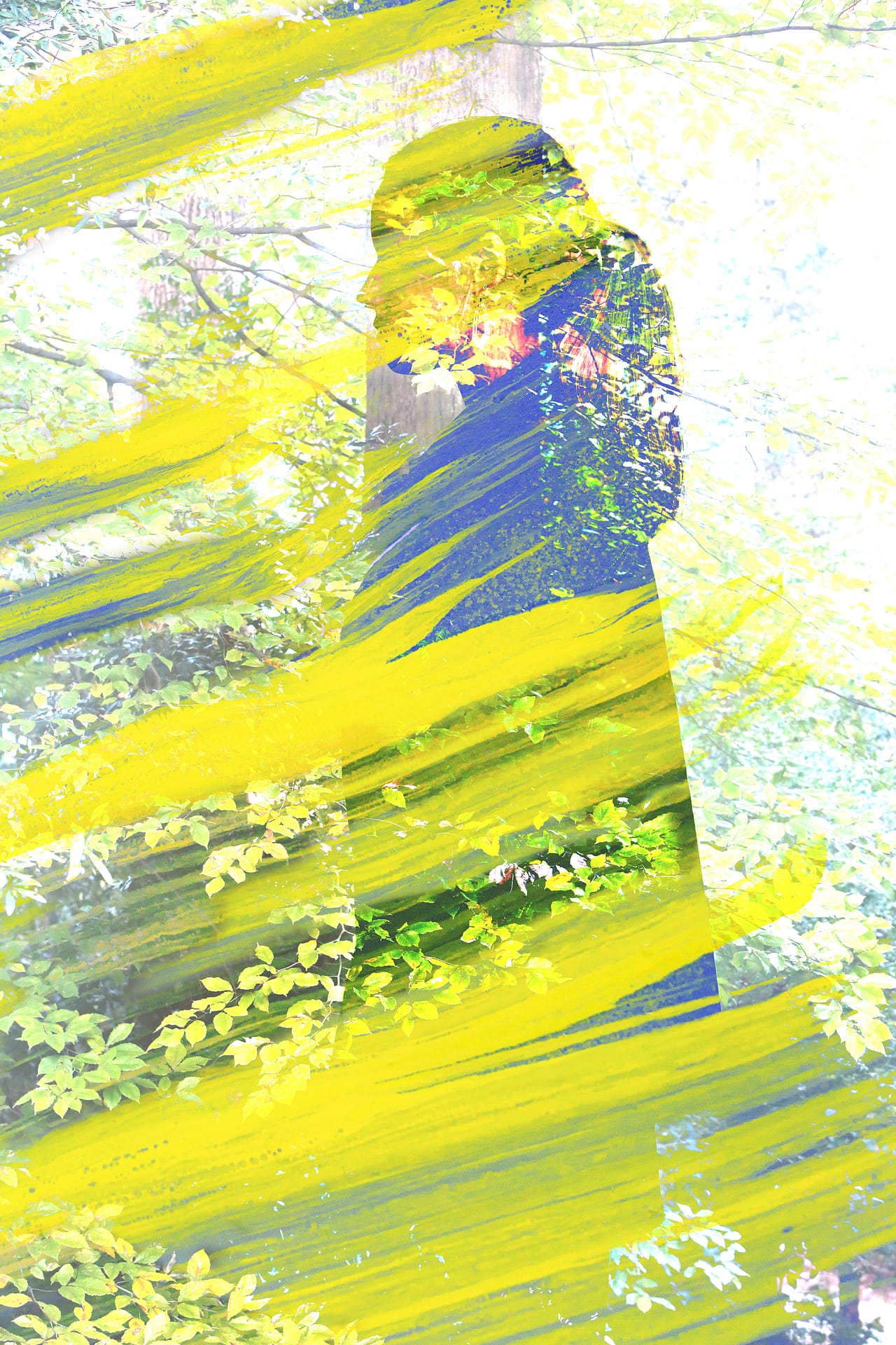 Yusheng Liu - Eidetic Imagery #8