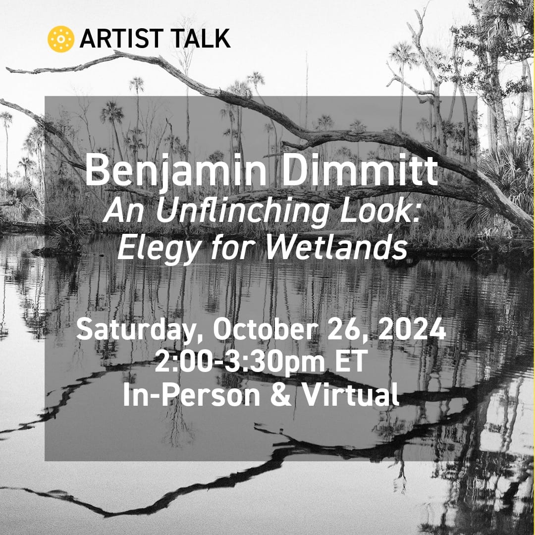 Artist Talk: Benjamin Dimmitt