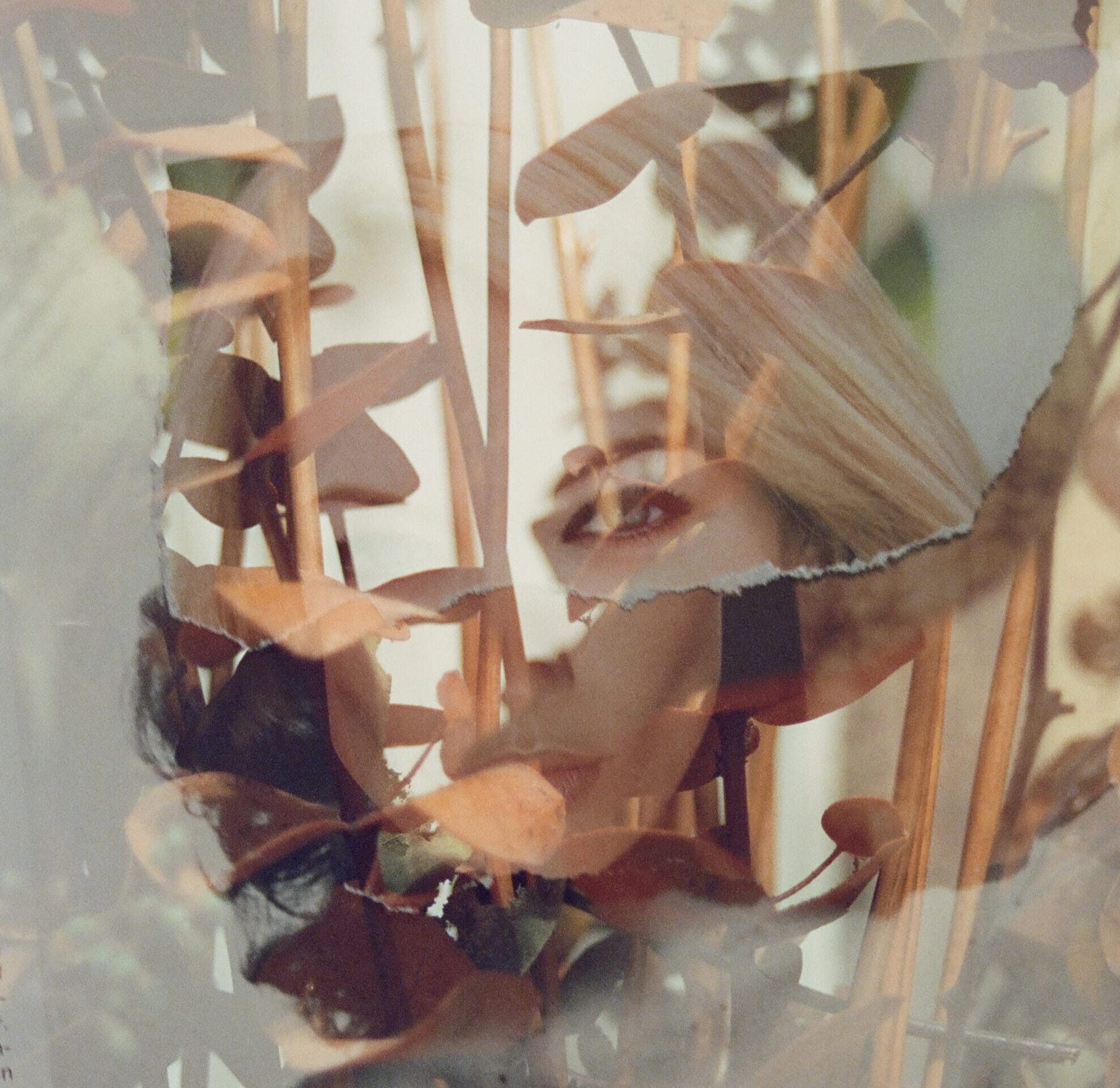 Creative Capsules - Into the Studio: Photo-Based Mixed-Media