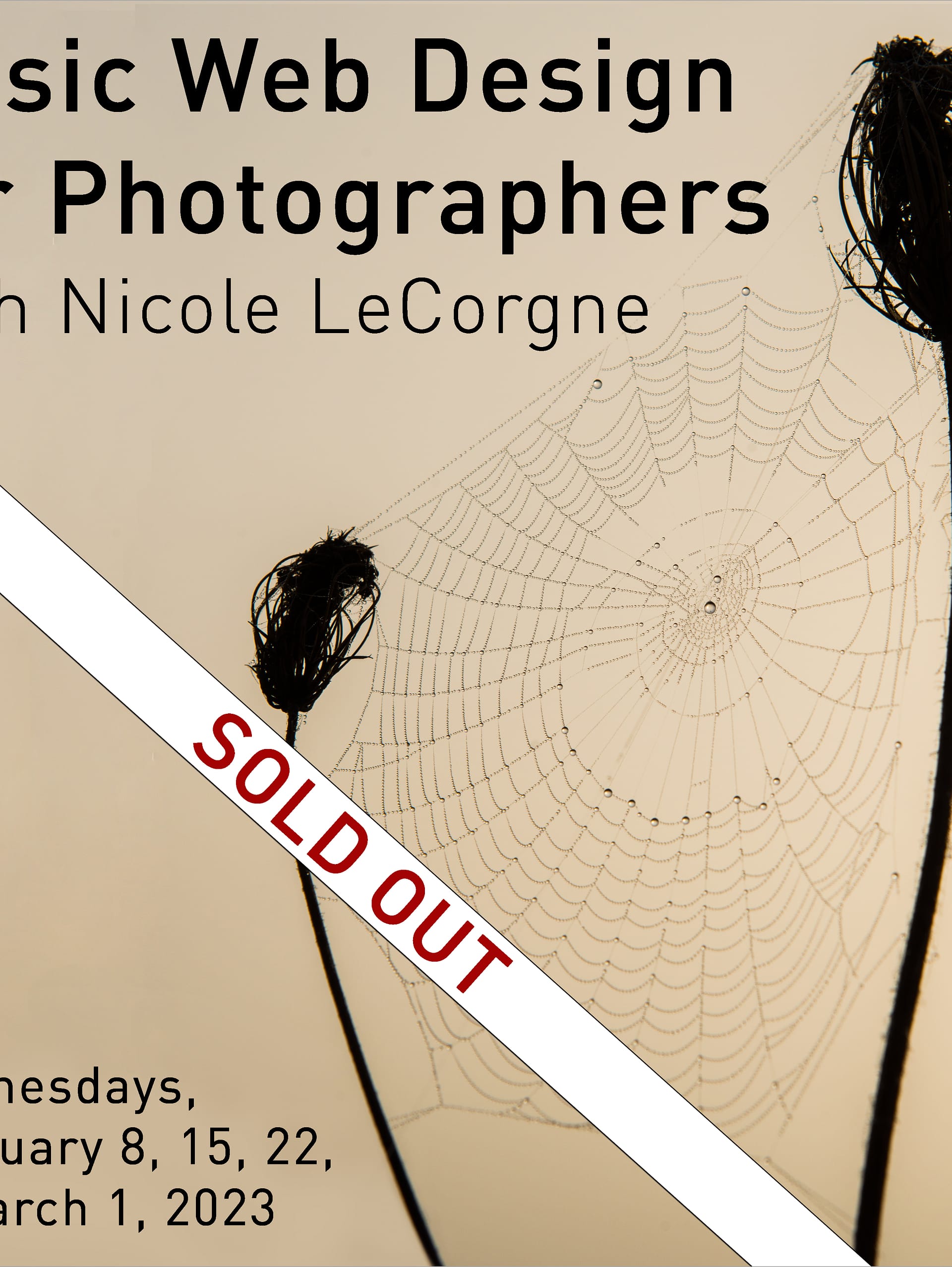 Workshop -  Basic Web Design for Photographers